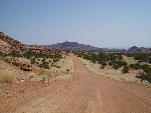 126_7.jpg