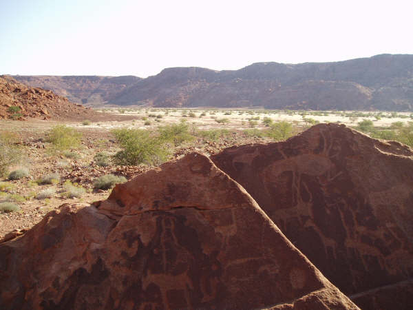 126_8.jpg