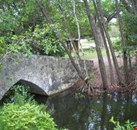 1274_1.jpg 1274_1.jpg