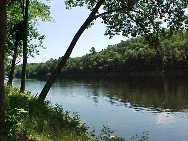 133_12.jpg