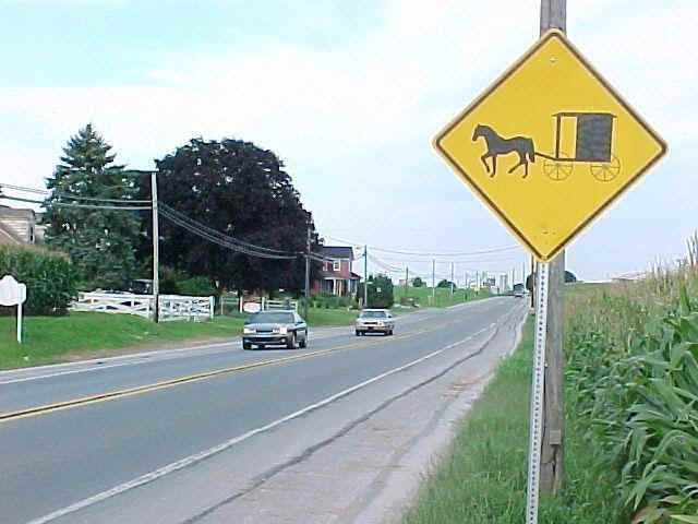 133_6.jpg