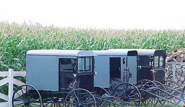 133_7.jpg 133_7.jpg