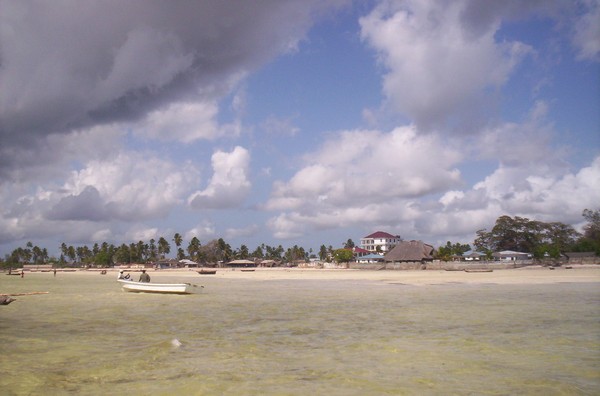 1395_5.jpg