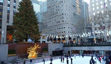 1411_7.jpg 1411_7.jpg