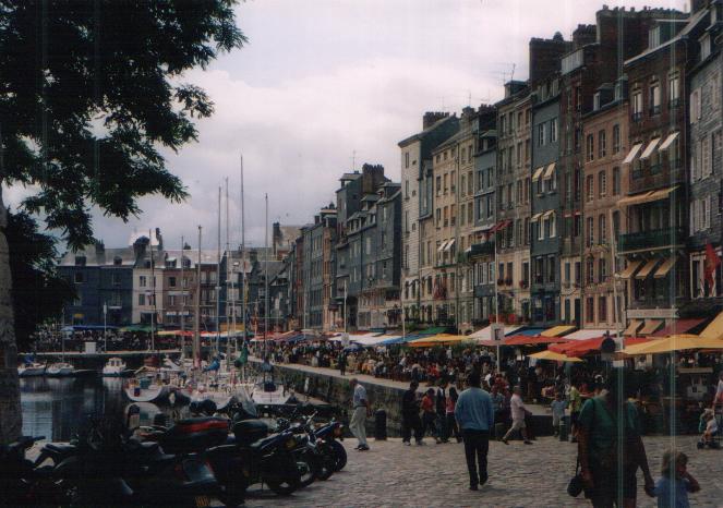 141_3.jpg