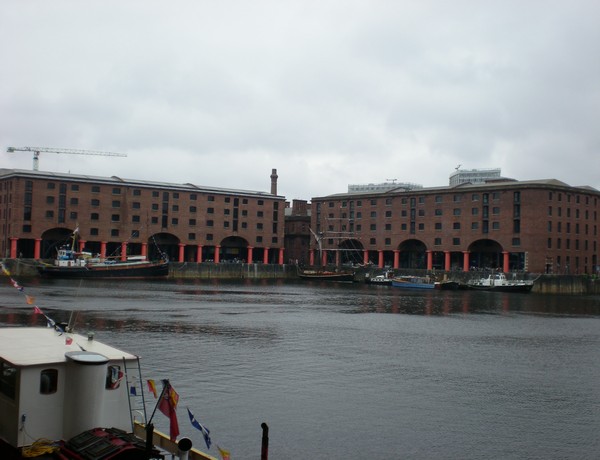 1424_1.jpg