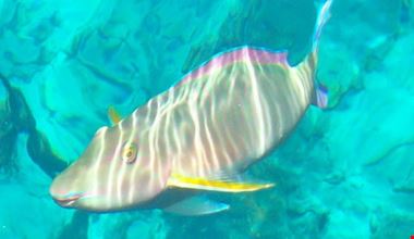 1426_10.jpg 1426_10.jpg