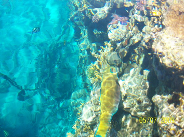 1426_12.jpg