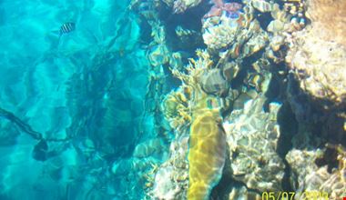 1426_12.jpg 1426_12.jpg
