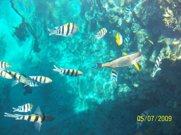 1426_13.jpg