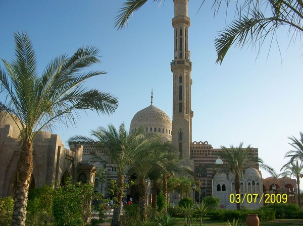 1426_6.jpg