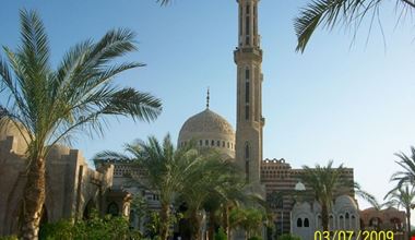 1426_6.jpg 1426_6.jpg