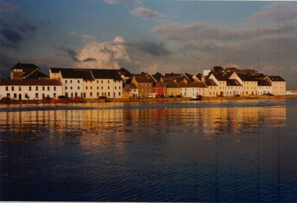 142_1.jpg