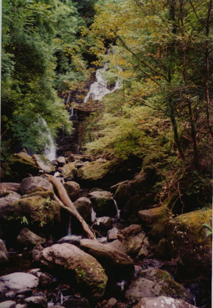 142_7.jpg