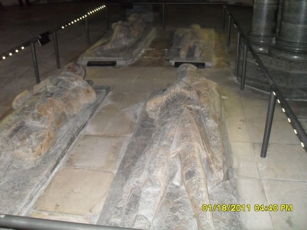1461_8.jpg