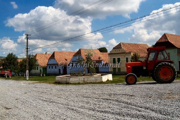 1467_4.jpg