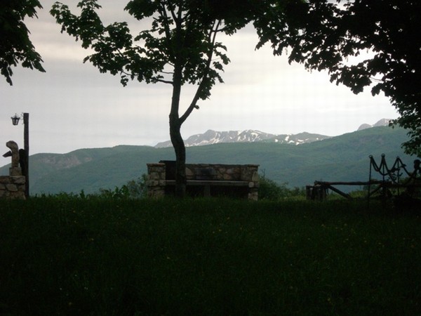 1485_10.jpg