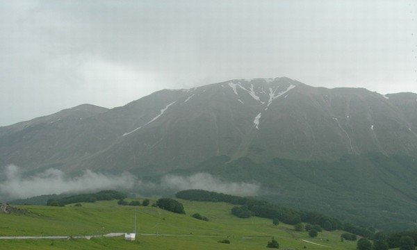 1485_13.jpg