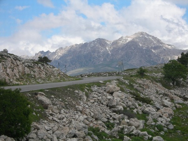 1485_15.jpg