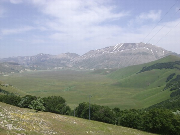 1486_4.jpg
