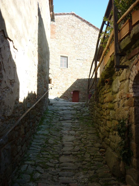 1493_11.jpg