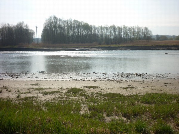 1494_8.jpg