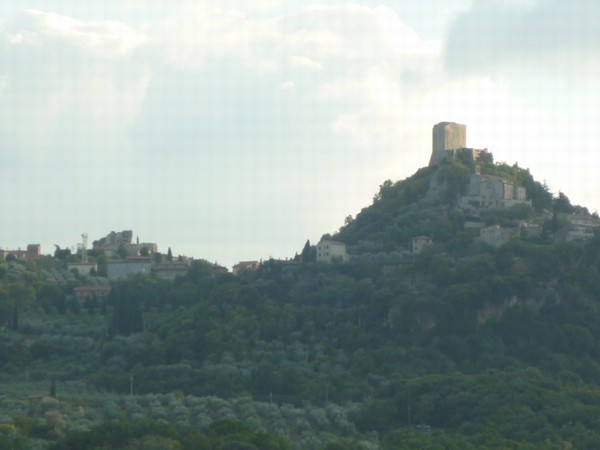 1505_1.jpg