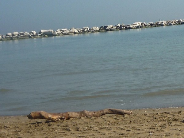 1508_10.jpg
