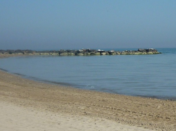 1508_11.jpg