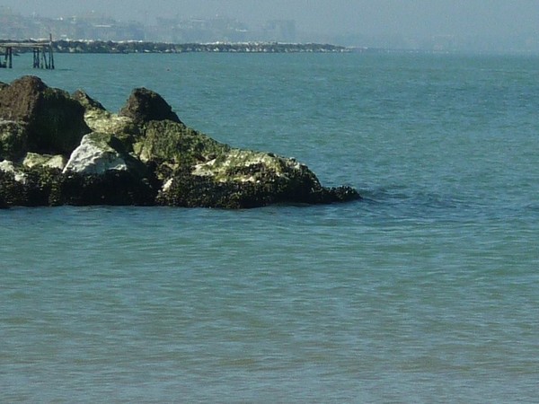 1508_13.jpg