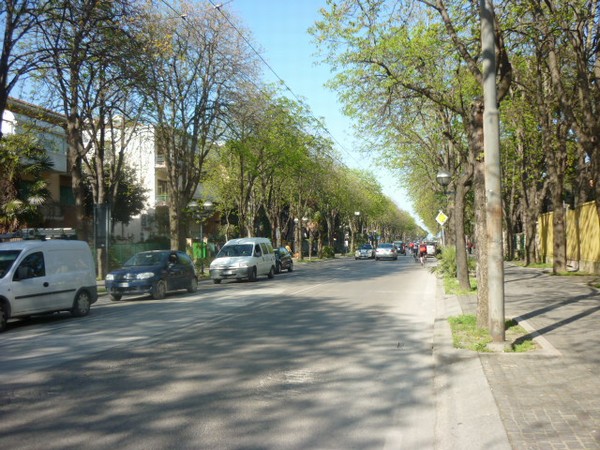 1508_4.jpg