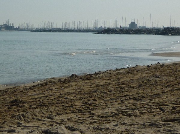 1508_8.jpg