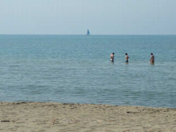 1509_10.jpg