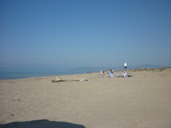 1509_7.jpg