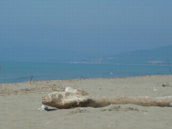 1509_8.jpg