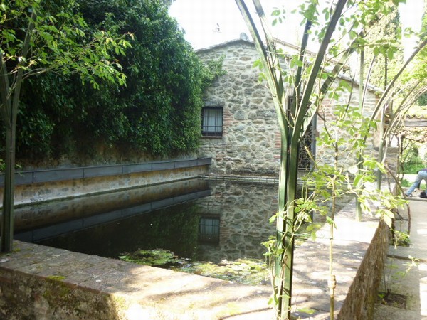 1517_5.jpg
