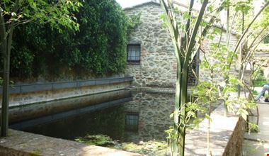 1517_5.jpg 1517_5.jpg