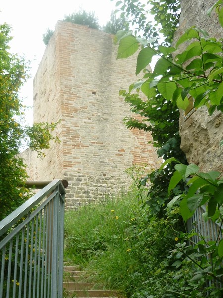 1518_3.jpg