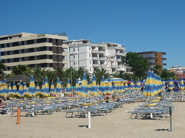 1527_3.jpg