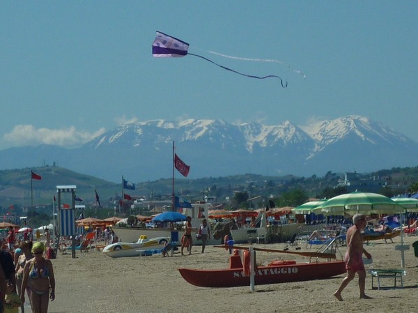 1527_5.jpg