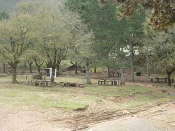 1528_10.jpg