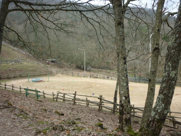 1528_7.jpg