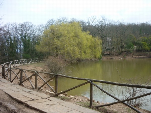 1528_9.jpg