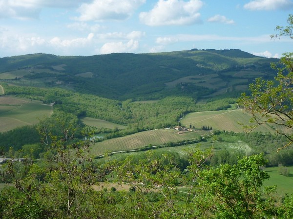 1531_4.jpg