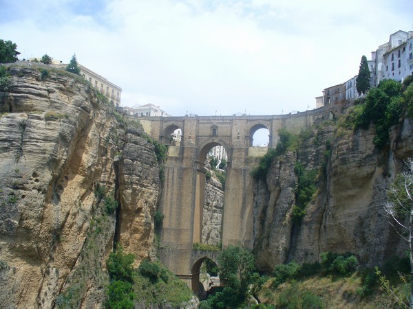 1540_2.jpg