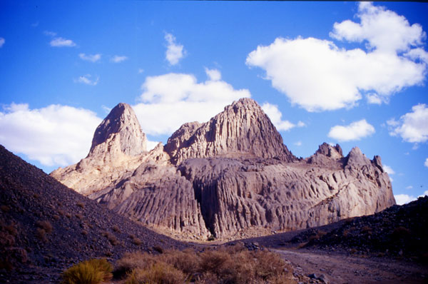 155_1.jpg