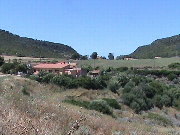 1577_3.jpg