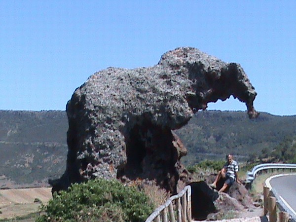 1577_4.jpg