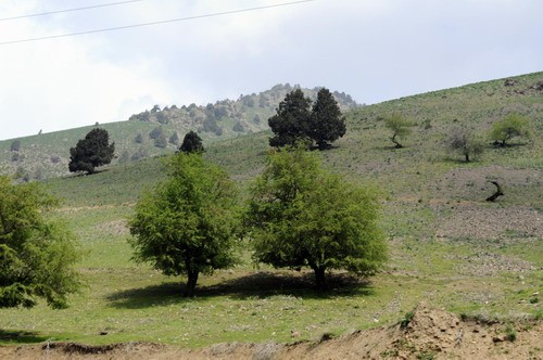 1596_34.jpg