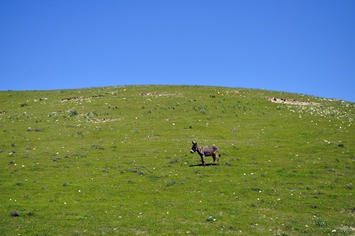 1597_16.jpg